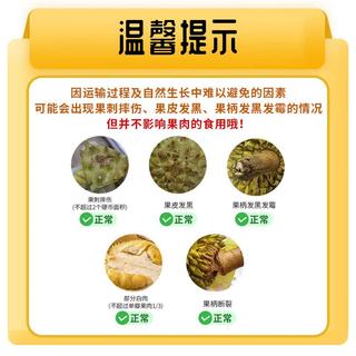  鲁禧  榴莲  精品金枕鲜榴莲8-10斤（2-4个装） 4kg