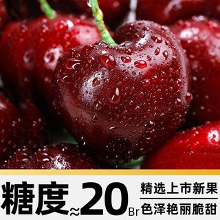 京运达 大连俄罗斯八号大樱桃