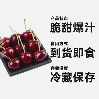 京运达 大连俄罗斯八号大樱桃