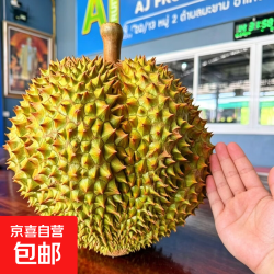 京喜加 金枕榴莲整果 巨无霸金枕（单个装12-15斤，大小随机）保4房