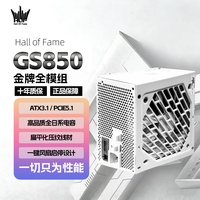影驰 名人堂GS850金牌全模组850W纯白色ATX3.1原生PCIE5.1电脑电源