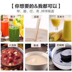 DEZZYS 自清洗 破壁机