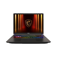  MSI/微星 2.5K240HZ独显直连满血电竞 游戏本 64G内存 4TB固态