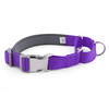 反光潜水料狗项圈防走丢
