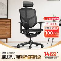 Ergonor 久坐不易累 人体工学椅  黑色网+躺舒宝