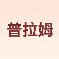普拉姆 PLUM