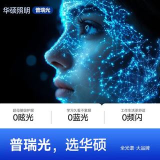  HSOS/华硕 AI语音 吸顶灯