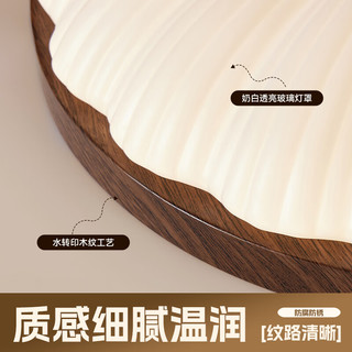  HSOS/华硕 AI语音 吸顶灯