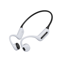  YuanS/园世 IPX8防水 骨传导游泳耳机 音质材质双升级·Beta2Pro熊猫色