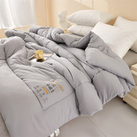 A类大豆纤维被加厚冬被