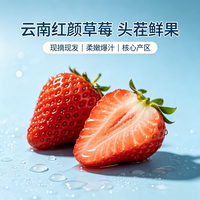 亲佳美云南99红颜草莓 10斤带箱