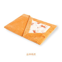 ibaby 钻石不倒绒恒温毯小尺寸儿童幼儿园盖毯BB 丛林萌虎 80cm*100cm