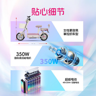  金箭 超长续航 电动自行车