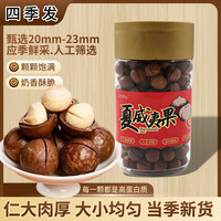  四季发 奶油味 夏威夷果 奶油味夏威夷果550g/罐