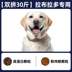 珍知乐 拉布拉多狗粮