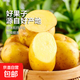  京喜加 山东 新鲜现挖黄心土豆 2斤　