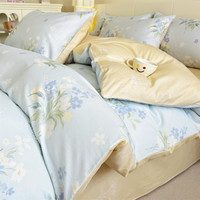 兰芮 新疆棉100%纯棉印花全棉四件套  200*230cm