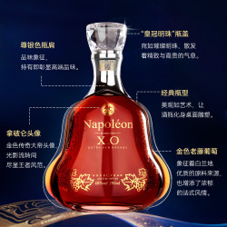 保罗菲儿 法国进口 XO白兰地 700mL 1瓶