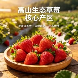亲佳美 云南99红颜草莓 10斤 单果7-10g