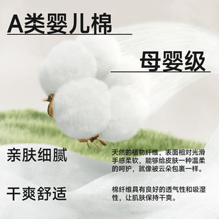 都市丽人 纯棉抗菌无痕三角内裤 女士 L码 3条装