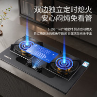旺厨好太太 JZY-6611 5.2KW猛火 定时双灶 液化气