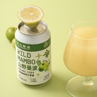 88VIP：大九酿造 山野曼波油柑酸梅西打果酒国产精酿啤酒水果330ml*2罐装