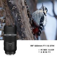  Canon/佳能 4K数码高清vlog视频 佳能RP相机套装+rf600 F11镜头+256卡+麦克+双肩包+大师级脚架 rp套机+rf600 F11【600mm超远摄头】
