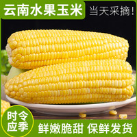言片光 云南水果玉米 净重8.5斤装