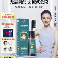 润丝丹 植物染发剂  200ml