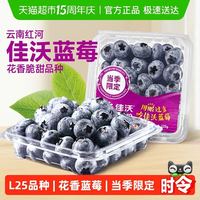 88VIP：佳沃 云南L25蓝莓 大果18-20mm 10盒 125g/盒