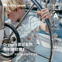  white wheat 呼吸棉 儿童短袖T恤 蘑菇格子 80 肩开扣