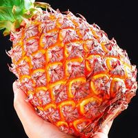 百亿补贴：果利丰 海南金钻凤梨 2.5斤 单果2斤起