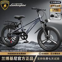 移动端、京东百亿补贴：LAMBORGHINI 儿童自行车青少年山地车中大童单车男女孩6-17岁中小学生7速  18寸（建议身高120-155cm）