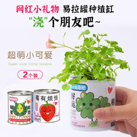 青苇 易拉罐植物小盆栽2个装莓有烦恼学校母亲节礼物公司福利生日礼物
