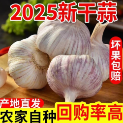 果玥 GUOYUE 果玥 河南 干大蒜 5斤