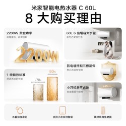 米家 EWH60-MJ06 速热电热水器