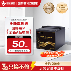 国轩高科 垒石系列 6022型LA 电芯锂电池 64V20Ah