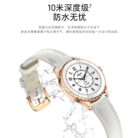 国家补贴：荣耀亲选 ROSSINI 智能手表2E 山茶金/鎏金白 38mm