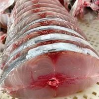 大片鲅鱼块*3斤