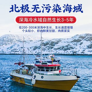玢果 北极甜虾