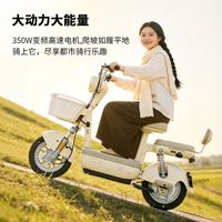  AIMA/爱玛 电动自行车