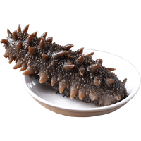典品堂 大连鲜活即食海参 源头直发 1000g（30-40只/斤）春季长高黄金期