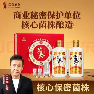 碧春 伍酱香型 &白酒53度 贵州商务送礼500ml*2瓶礼盒装 &