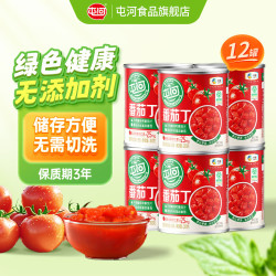 屯河 番茄丁300g*12罐