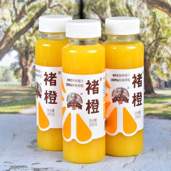 实建褚橙 NFC鲜榨果汁 245ml*12瓶