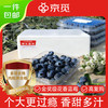 京觅 大凉山正宗花香蓝莓 8盒单果12mm+ 净重100g/盒 生鲜水果源头直发