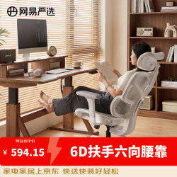 网易严选 小蛮腰系列 S9 Pro 人体工学电脑椅 灰色 无搁脚款