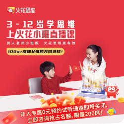 火花思维 逻辑思维小班课数感计算图形提升赠学具礼盒