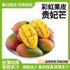 京喜自营-专用品牌 贵妃芒带箱5斤