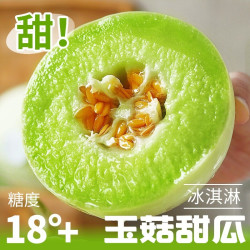 顾一 山东玉菇甜瓜 4.5斤 中果